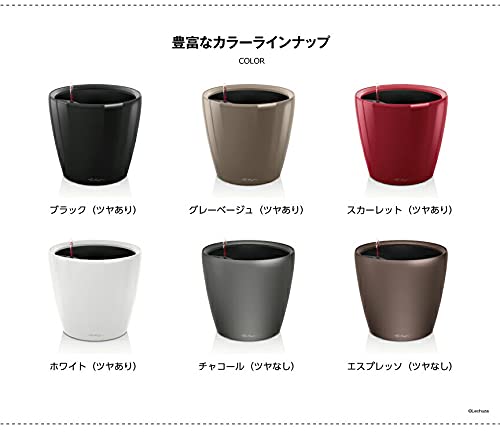 Amazon.co.jp: ドイツ製 底面給水型軽量プランター 【レチューザ