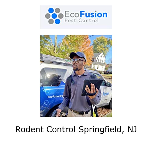 Rodent Control Springfield, NJ
