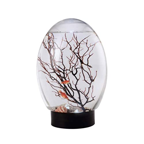 Piccola Serbatoio Di Pesce Mini Acquario Ecosistema Acquatico Chiuso Ecosistema Chiuso Con Acqua Nera Stabile Desktop Light Desktop Non è Necessario Nutrire O Cambiare Acqua