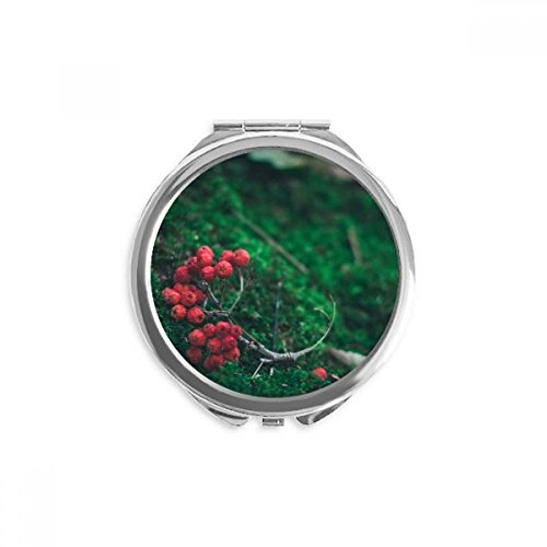 Miroir rond maquillage de poche portable rouge fruit multicolore
