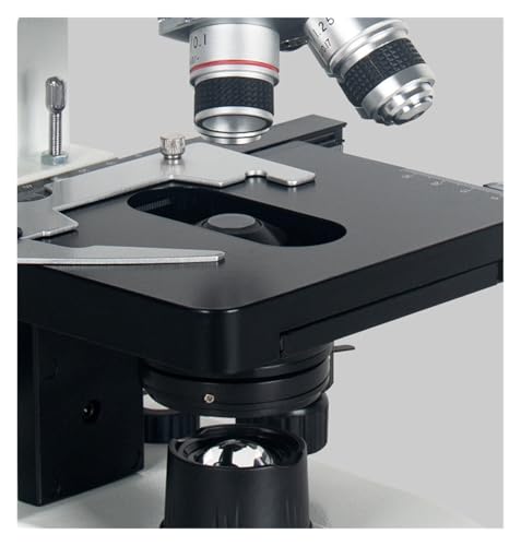 Microscope binoculaire composé professionnel avec platine double couche - 5