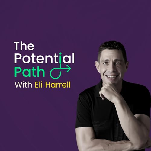 『The Potential Path』のカバーアート