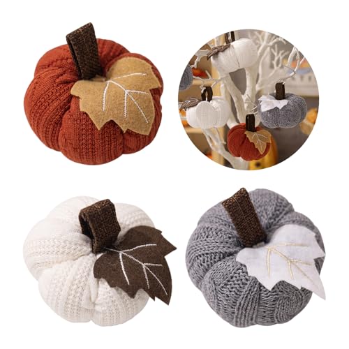 Citrouilles Thanksgiving Morain déco durable sans entretien