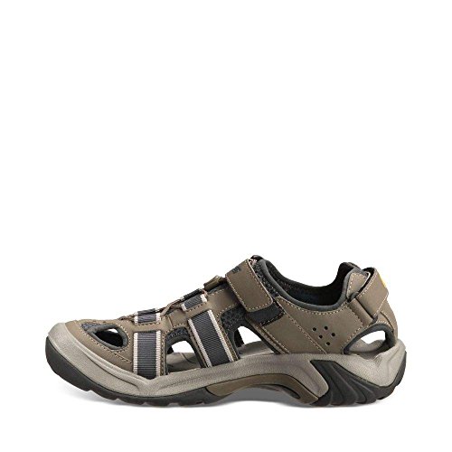 Teva GmbH Backorder