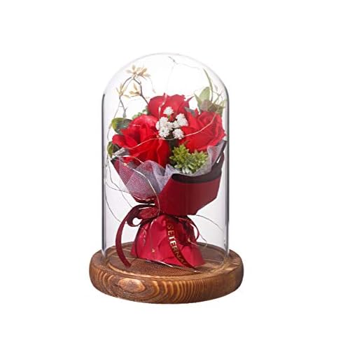 Skönheten och odjuret ros i glaskupol för evigt ros blomma mors dag ros gåvor till mamma, LED-glasros för kvinnor flickor på mors dag bröllopsdag födelsedag alla hjärtans dag