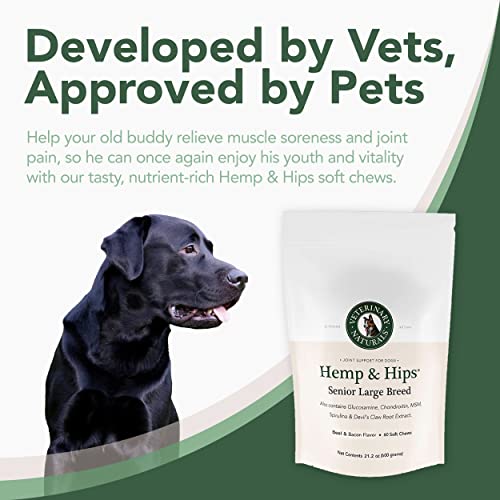 Vet Naturals Hemp & Hips, Senior Large Breed Dog Supplement - 60Ct Dog Hip And Joint Supplement W Glucosamine For Dogs & Msm (Beef & Bacon) #TOP2