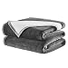 DREAMFLYLIFE Summer Fleece Blanket Queen Size Double-Sides Reversible Super Soft Warm Fuzzy Anti-Static Bed Blanket by Dream Fly Life(Queen,Dark Gray & Ivory)
