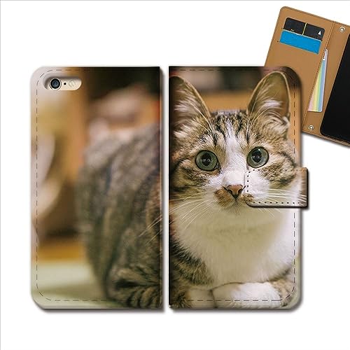 iPhone 16e iPhone16e �P�[�X �蒠�^ �L �蒠�P�[�X �X�}�z�P�[�X �J�o�[ �L �˂� �l�R �ɂ�� ���� �y�b�g ���� �f�U�C��A e0365020136701