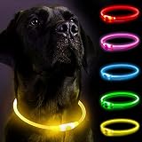 3 Modi Leuchthalsband Hund Längenverstellbarer Haustier,Aufladbar und Wasserdicht Hundehalsband, Sicherheitshalsband für Hunde und Katzen(Yellow2)