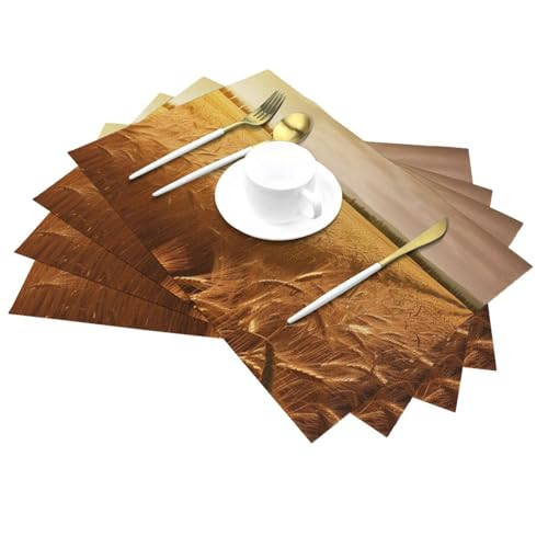 Set de table lavable protège table contre chaleur et taches