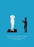 What Is Not Missing Is Light 0988587378 Book Cover