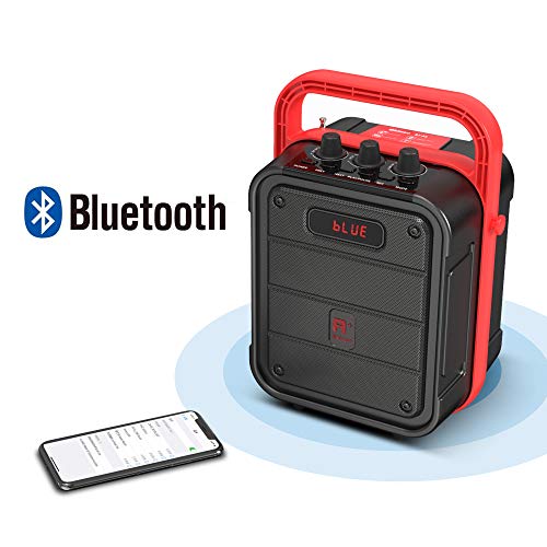 Shinco Bluetooth Speaker With Microphone, Portable Karaoke Machine With Remote Control, Audio Recording, Fm Radio, Perfect For Kids #TOP1