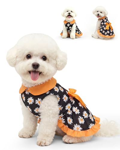 Image of CuteBone Retro Black Daisy Pet Dress with Peter Pan Collar - Bold Floral Pattern - Sleeveless Ruffled Skirt with Bow for Small Dogs, Cats - Stylish Daily & Party Wear
