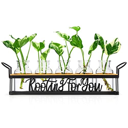 THYGIFTREE Plant Propagation Stations with Metal Stand