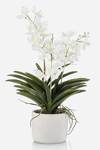artplants.de Orchidée Vanda décorative PAVRA en Pot en céramique, Racines, Blanc-crème, 60 cm - Orchidée Artificielle
