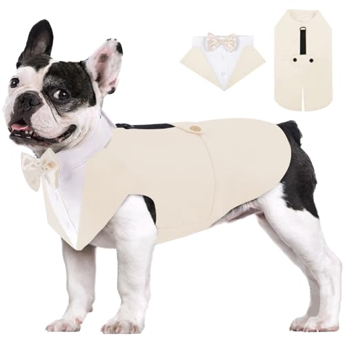 AOFITEE Tuxedo Set 2