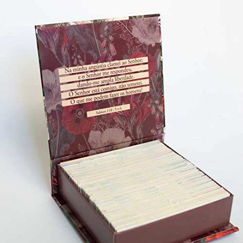 Preciosas Promessas de Deus - Com 220 versículos e Letras grandes - Mod.pp-05: 3