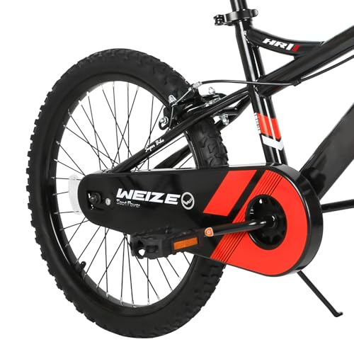 WEIZE 20 Inch Kids Bike