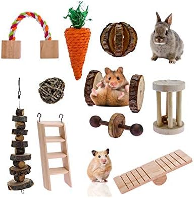Hamster Chew Toys 10 Pcs Chinchilla Cage Accessories For Small A Sapto Uhamka Ac Id