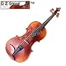 D Z Strad Model 220 Violin with Dominant strings, bow, case, rosin and shoulder rest-Open Clear Tone (1/8 - Size)