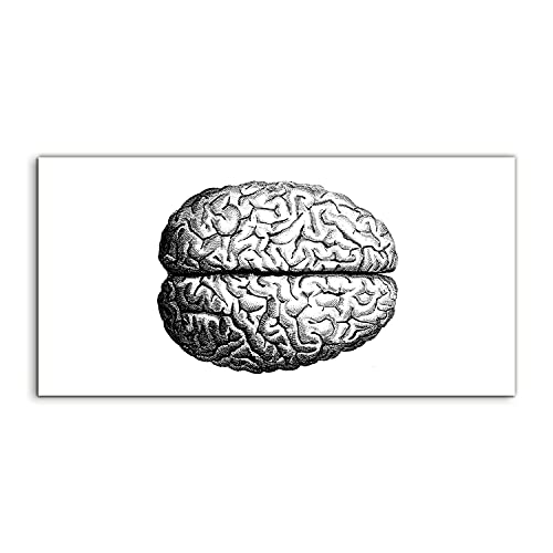 Image Acrylique Brain Anatomy Vintage pour la décoration murale du salon