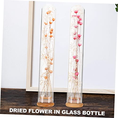 Flor preservada en botella de cristal para decoración miniatura 6