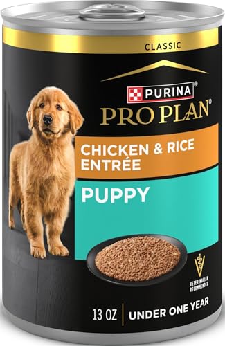 Purina Pro Plan Wet Puppy Food P