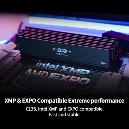 Image of Silicon Power DDR5 32GB (2x16GB) Value Gaming 6000MT /s (PC5-48000) 288-pin CL36 1.35V UDIMM Desktop Memory Module RAM SP032GXLWU60CFDJ