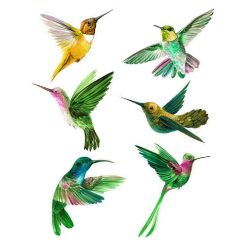 DOITOOL 6 piezas Pegatinas Ventana Anticolisión Unidades sin Adhesivo Protección Aves Decoración Doble Cara Fácil Retirar para Hogar Oficina Balcón