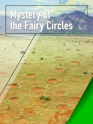 Mystery of the Fairy Circles