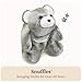 GUND Original Snuffles Teddy Bear, Premium Stuffed Animal for Ages 1 and Up, Gray/Brown, 13”