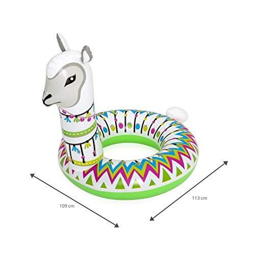  DR