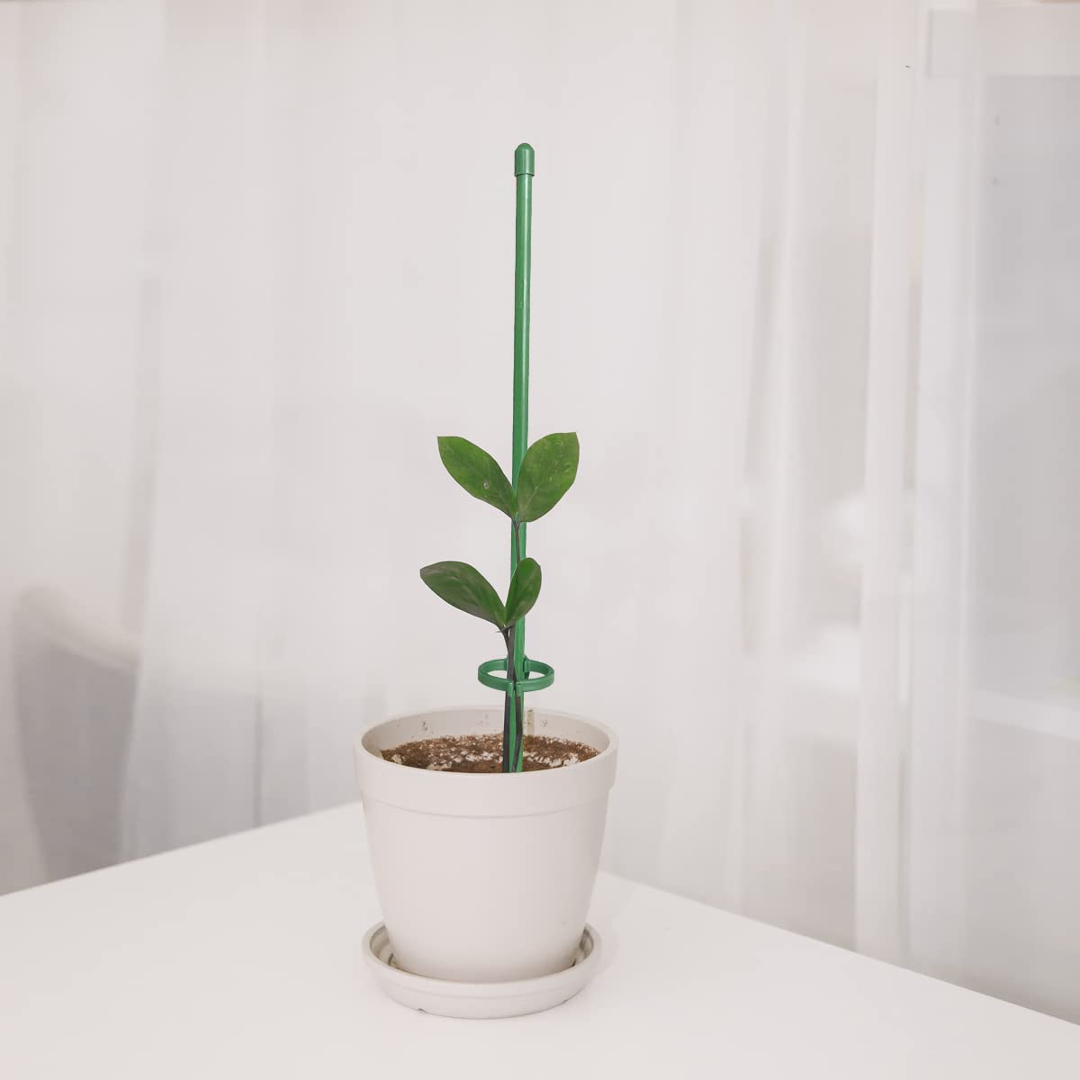 Pflanzenstützen Set – 24 Stück, Je 30,5 Cm, Aus Fiberglas, Mit Clips & Verbindern
