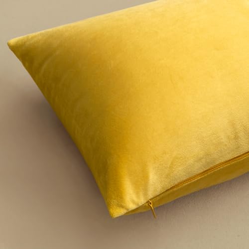 Image of MIULEE Pack of 2, Velvet Soft Soild Decorative Square Throw Pillow Covers Set Cushion Case for Sofa Bedroom Car 18 x 18 Inch 45 x 45 Cm