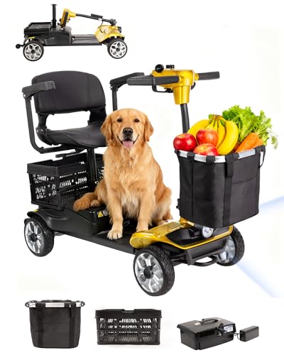 Goldseason 4-Wheel Electric Mobility Scooter for Adults