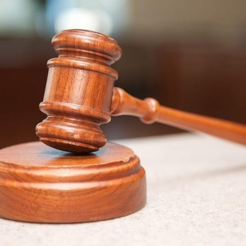 ISIS bride charged with slavery out on bail