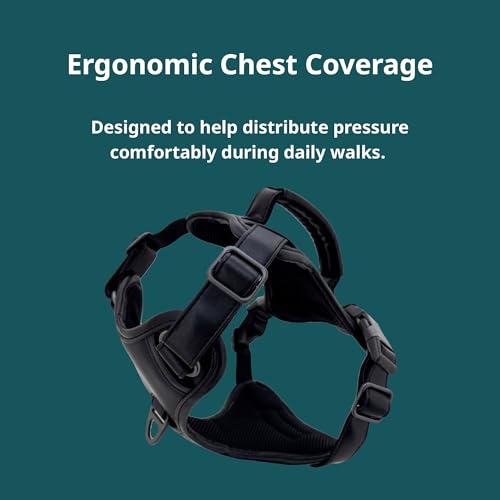 CANAGAN Vegan Leather Dog Vest Harness for Large Dogs,Heavy Duty Design,Cruelty-Free,No Pull,Handle & Dual Leash Clips,Adjustable Vest – Black - Image 5