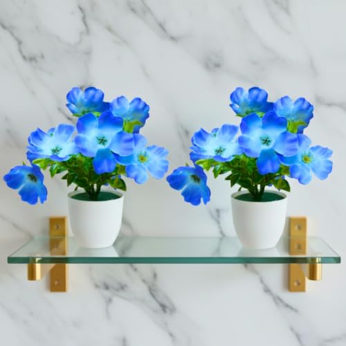 Image of fancymart Artificial Real Touch Flower Plant with Pot (Pack of 2), 16 cm Height, Decorative Faux Floral Plant for Home, Office, Living Room, Bedroom, Table & Shelf Decor