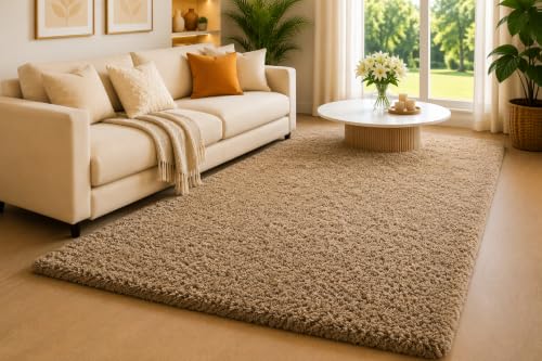 Image of Shaggy Carpet 5x8 Ft for Living Room & Bedroom (Mouse)