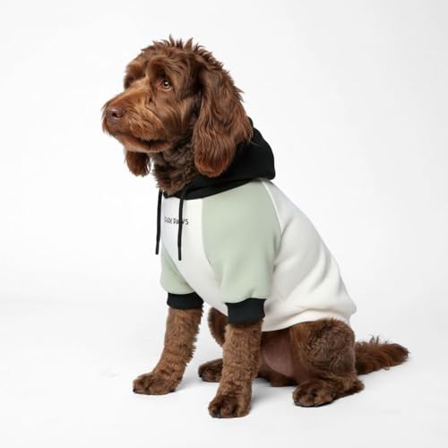 Image of Spark Paws Dog Hoodie - Premium Dog Sweater for Small, Medium, and Large Dogs | Warm Outfits for French Bulldogs, Pitbull, Puppy, Winter Jacket Alternative - Olive Cream - 2XL