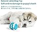 SCHITEC Hundespielzeug Quietschend, Rubber Bouncy Egg Balls mit Quietschspielzeug, Soft Latex Toys interaktives Abrufspiel, hundespielzeug unzerstörbar zum Abholen von Spielbällen für Welpenspielzeug