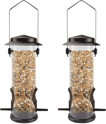 best squirrel feeder