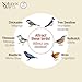 Nature's Way Bird Products CWH3 Cedar Bluebird Box House