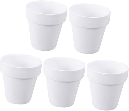Amosfun 5Pcs Mini Plastic containers hydroponic Planter suculentas Clay Plant pots White Terracotta Pot Clay pots for Plants Bonsai Plant Pot