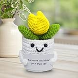 Pianta grassa da scrivania realizzata in uncinetto