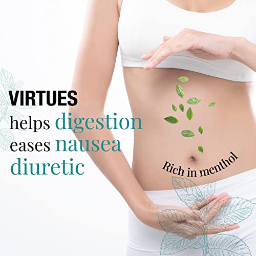 ORIGEENS ORGANIC PEPPERMINT LEAVES 150g - Dried mint leaves for making mint tea and iced tea - Organic peppermint loose leaf