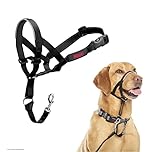 Halti Headcollar - Stop Your Dog Pulling on the Leash. Adjustable, Reflective and Lightweight, with Padded Nose Band. Dog Training Anti-Pull Collar for Medium Dogs (Size 3, Black)