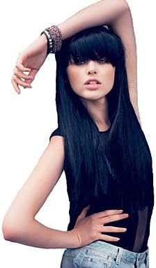 Js-Wigs Synthetic Wig Straight Synthetic Hair Black Wig Women's Long/Very Long Natural Wigs