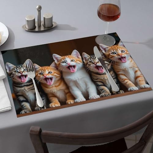 Sets de table chatons anti-tache pour protéger la table à manger des rayures lot de 6 - 2