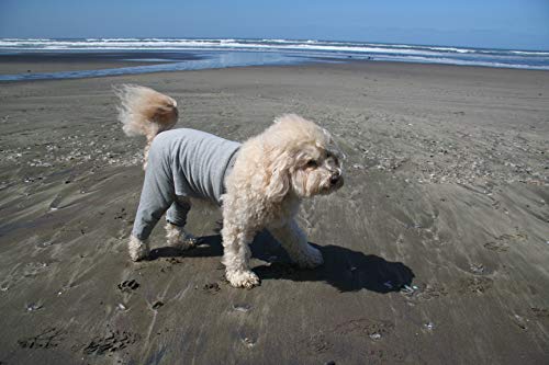 Mozzie Pants XL Walking Pants Grey - Thumbnail 3
